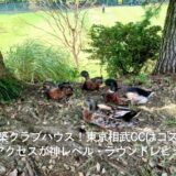 新築クラブハウス！東京相武CCはコスパとアクセスが神レベル・ラウンドレビュー