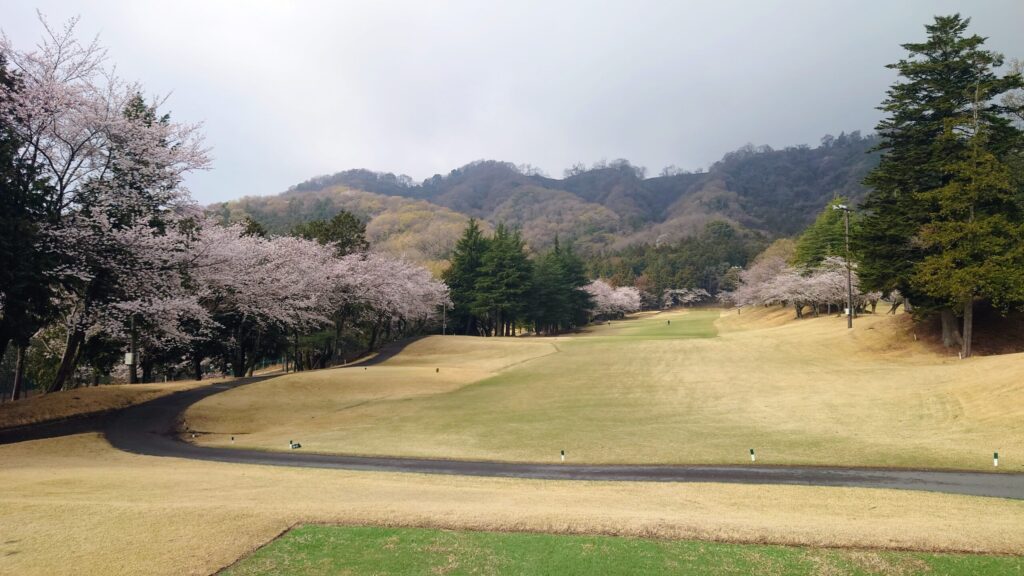 大厚木カントリークラブ 桜コース OUT 1番｜455Y ロング 