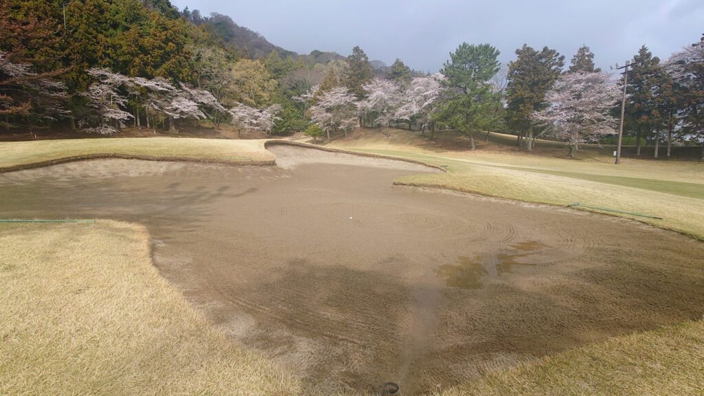 大厚木カントリークラブ 桜コース 1番グリーン手前のバンカー