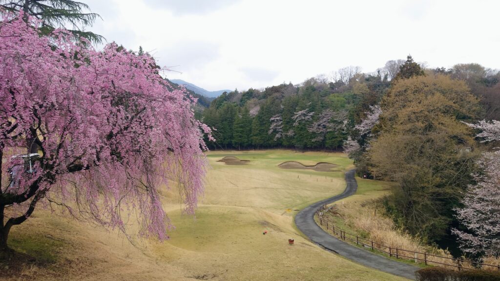 大厚木カントリークラブ 桜コース OUT 4番｜140Y ショート