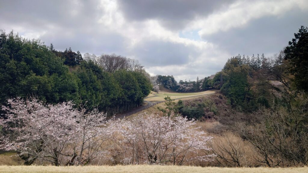 大厚木カントリークラブ 桜コース OUT 5番｜472Y ロング
