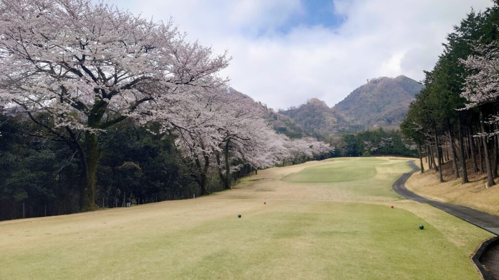 大厚木カントリークラブ 桜コース OUT 6番｜296Y ミドル
