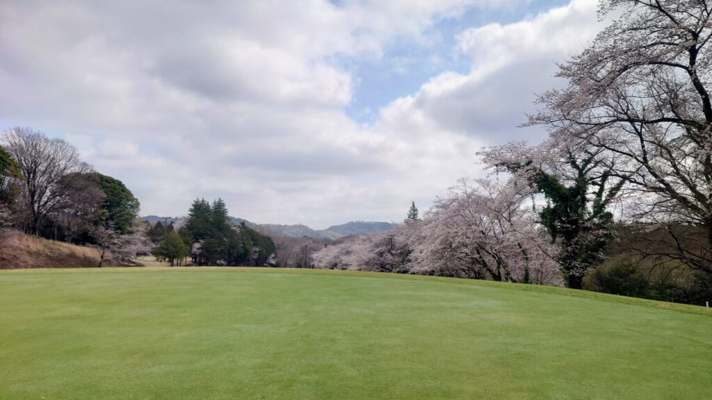 大厚木カントリークラブ 桜コース 6番グリーン