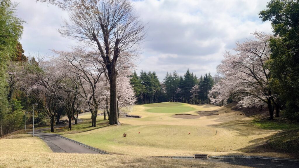 大厚木カントリークラブ 桜コース OUT 7番｜115Y ショート