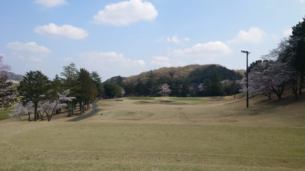 大厚木カントリークラブ 桜コース IN 12番｜150Y ショート