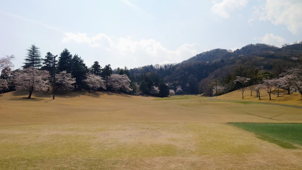 大厚木カントリークラブ 桜コース IN 15番｜456Y ロング