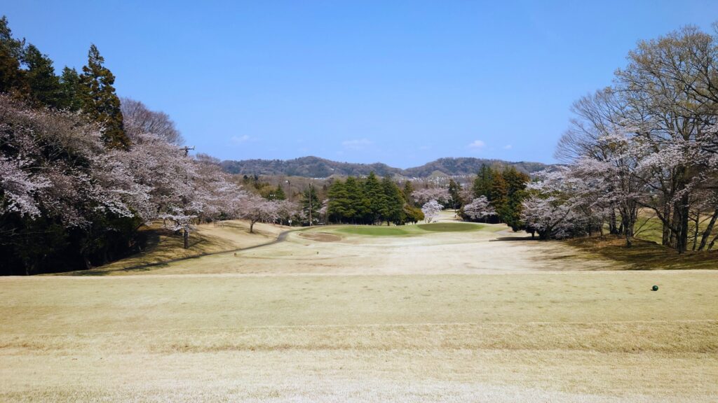 大厚木カントリークラブ 桜コース IN 16番｜143Y ショート