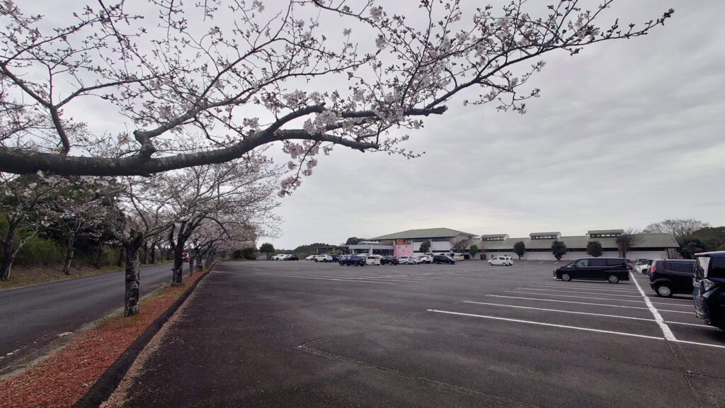 千葉桜の里ゴルフ駐車場