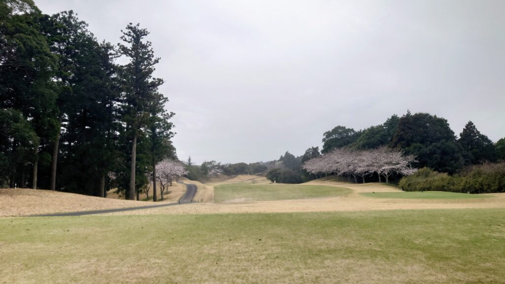 千葉桜の里ゴルフIN 10番|385Y ミドル