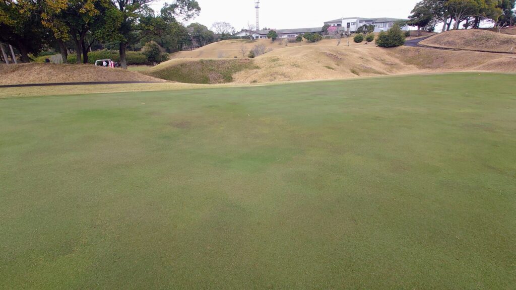 千葉桜の里ゴルフクラブ13番グリーン
