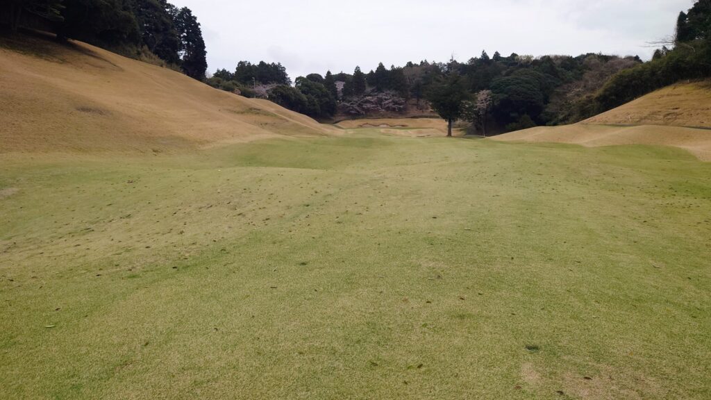 千葉桜の里ゴルフクラブ15番のフェアウェイ