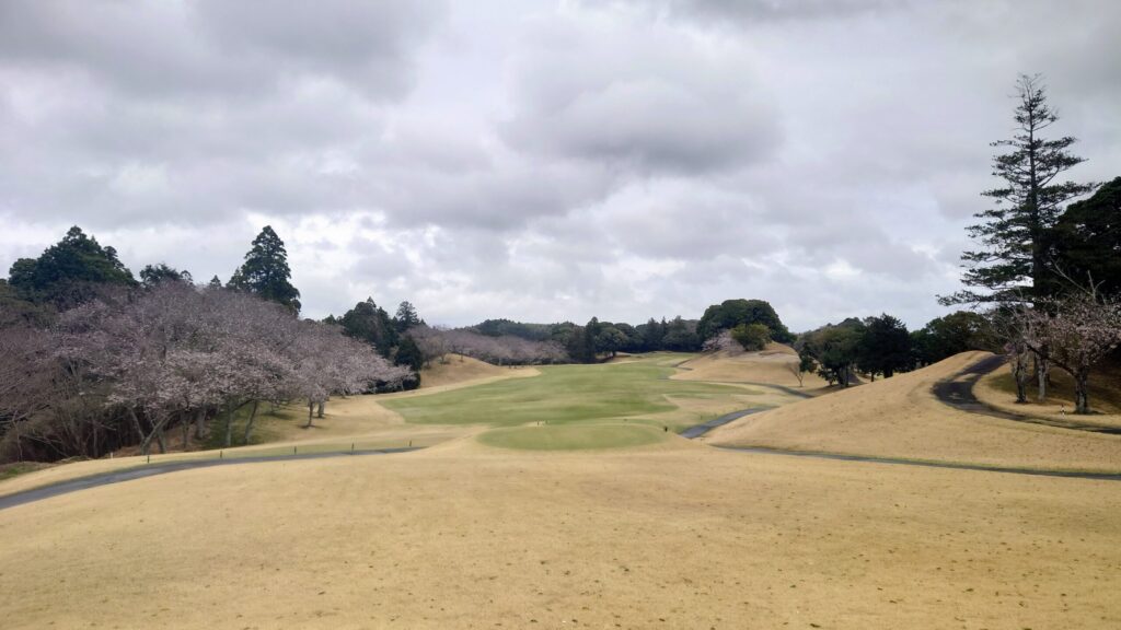 千葉桜の里ゴルフクラブ OUT 1番|371Y ミドル