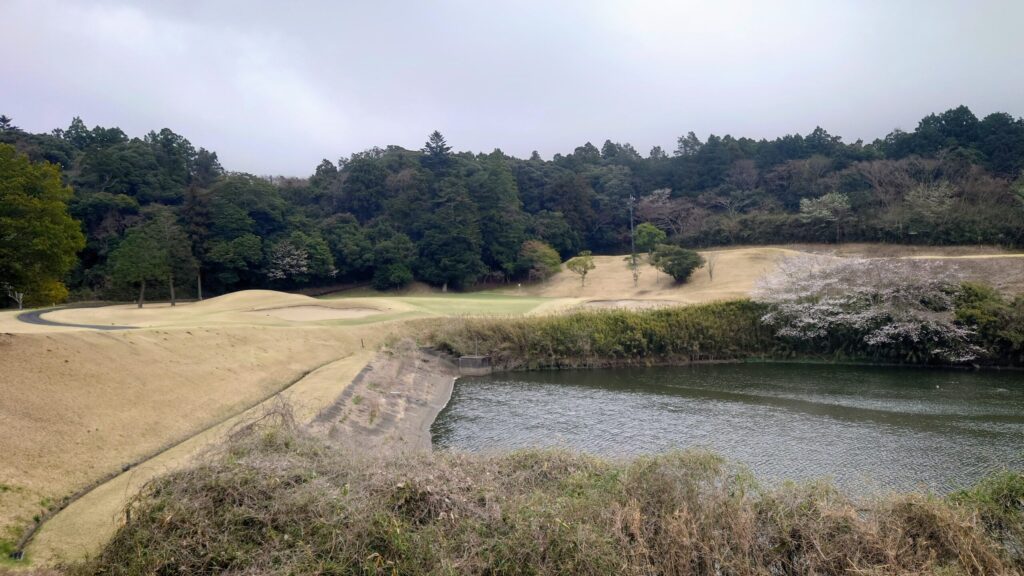 千葉桜の里ゴルフOUT 7番|130Y ショート