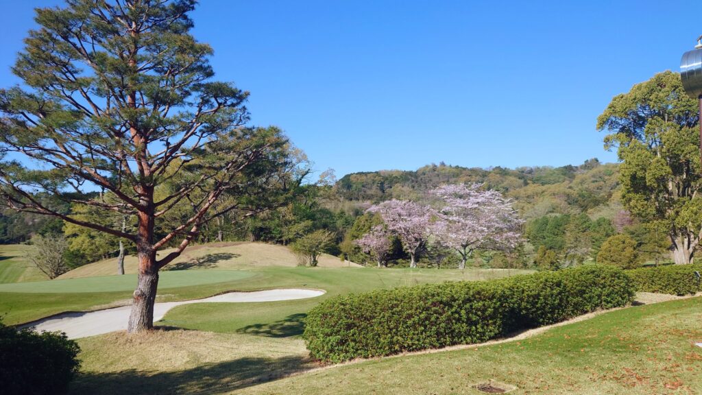 レインボーカントリー倶楽部 景色