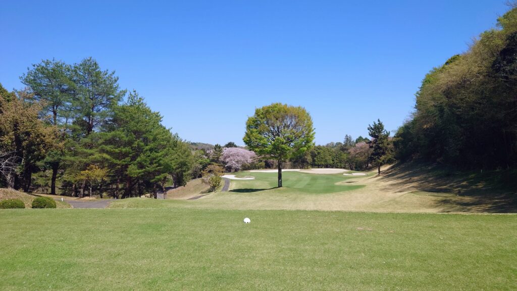 レインボーカントリー倶楽部 INコース15番 160Yショート