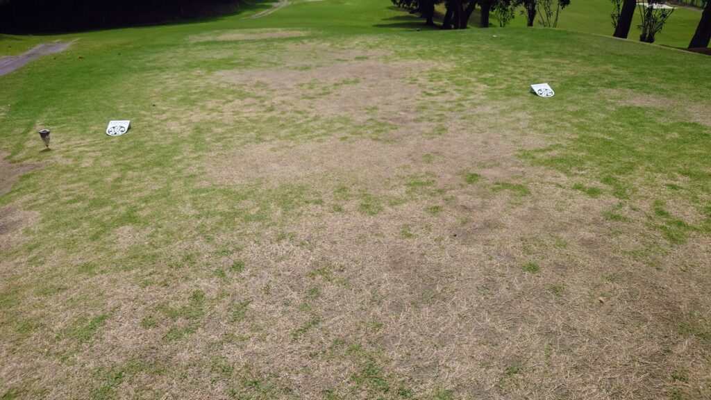 鎌倉パブリックゴルフ場　ティイングエリア