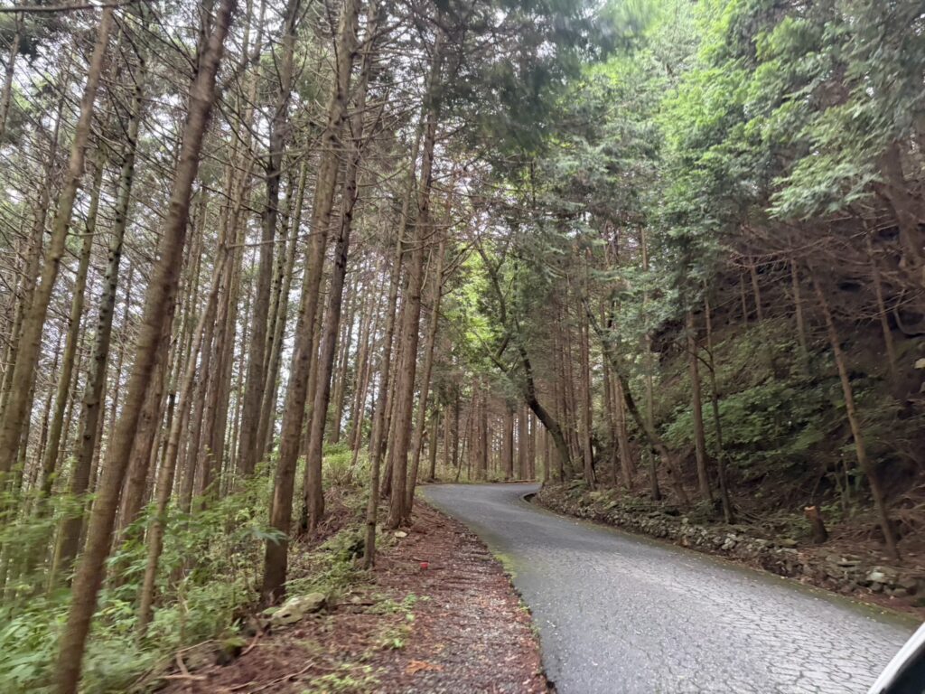 小田原城カントリー倶楽部　山道