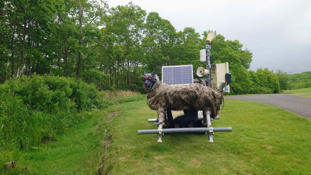 北海道ブルックスカントリークラブ　モンスターウルフ