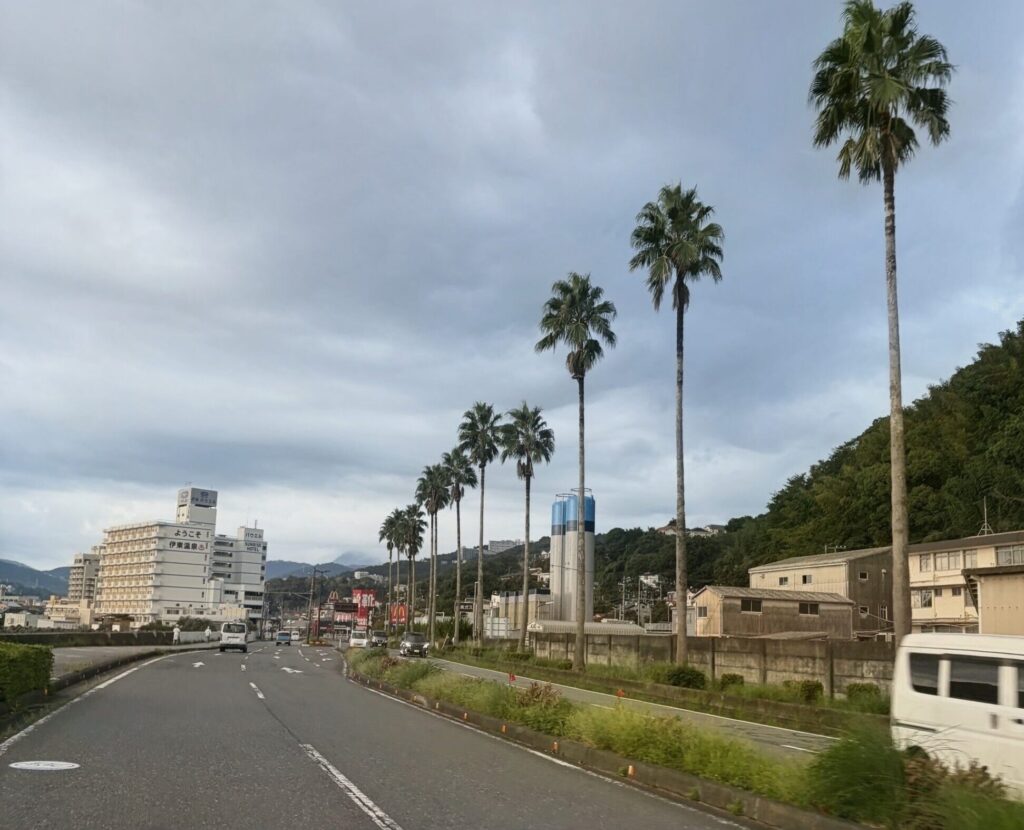 伊東温泉のホテル街とヤシの木が並ぶ海沿いの道路
