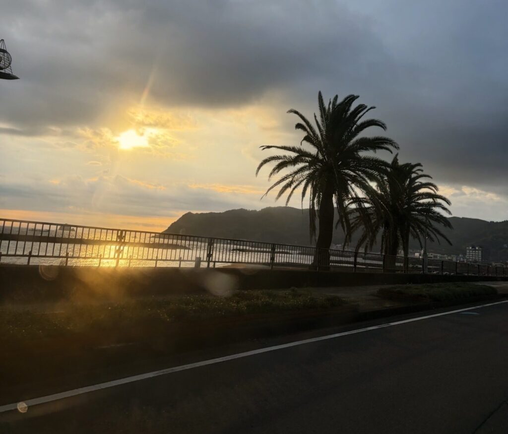 伊東の海沿いの道路から見た朝日とヤシの木のシルエット